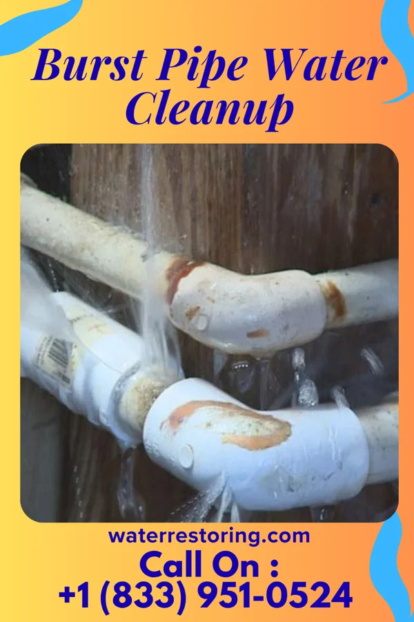 Burst Pipe Water Cleanup in Oberlin, OH