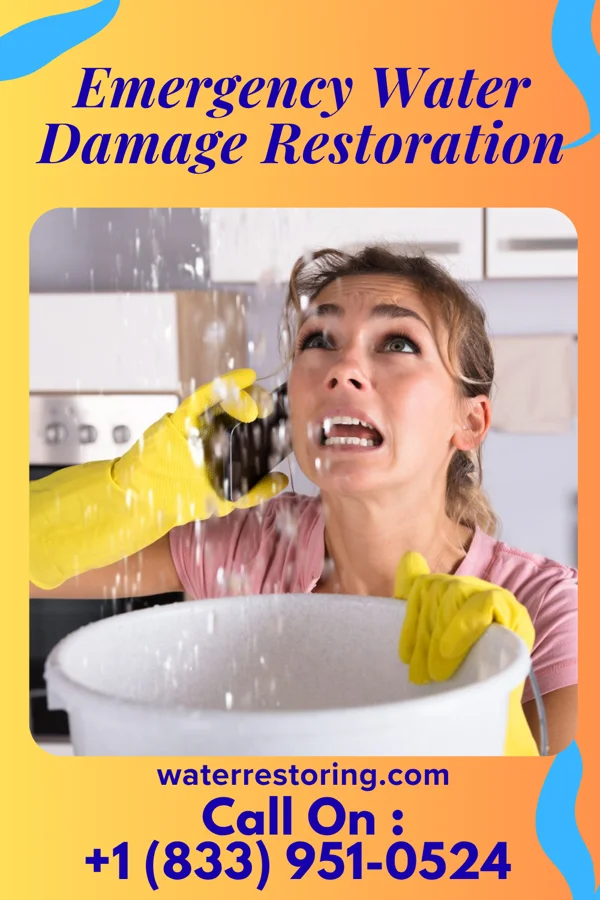 Emergency Water Damage Restoration in Oberlin, OH