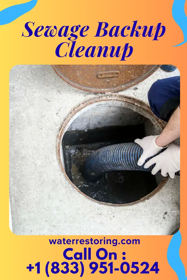 Sewage Backup Cleanup in Oberlin, OH