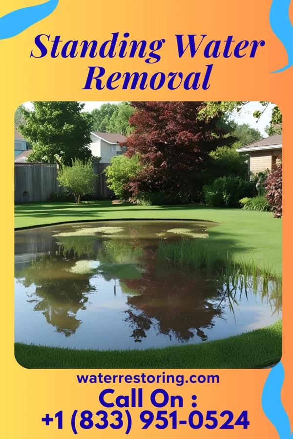 Standing Water Removal in Oberlin, OH